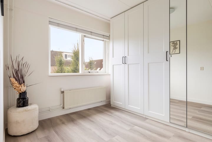 Foto 18 van Aalscholver 15