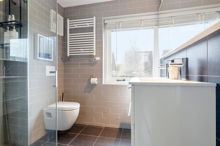 Foto 19 van Aalscholver 15