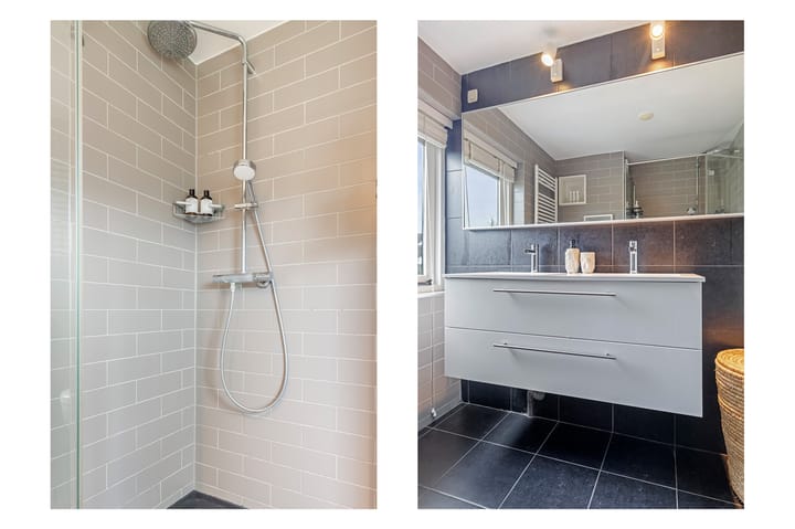 Foto 20 van Aalscholver 15