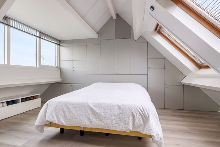 Foto 21 van Aalscholver 15