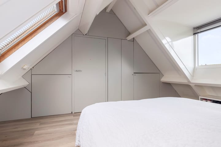 Foto 22 van Aalscholver 15