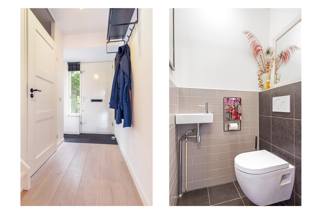 Foto 23 van Aalscholver 15