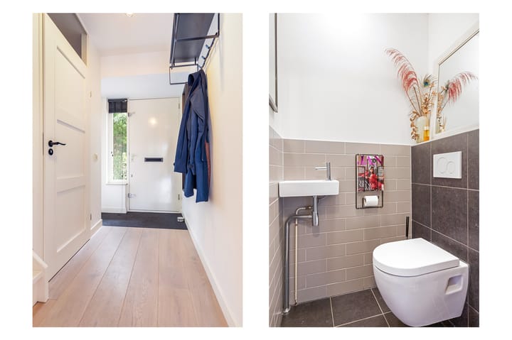 Foto 23 van Aalscholver 15