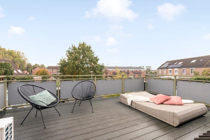 Foto 24 van Aalscholver 15