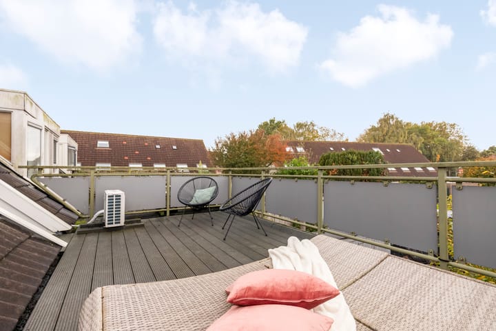 Foto 25 van Aalscholver 15