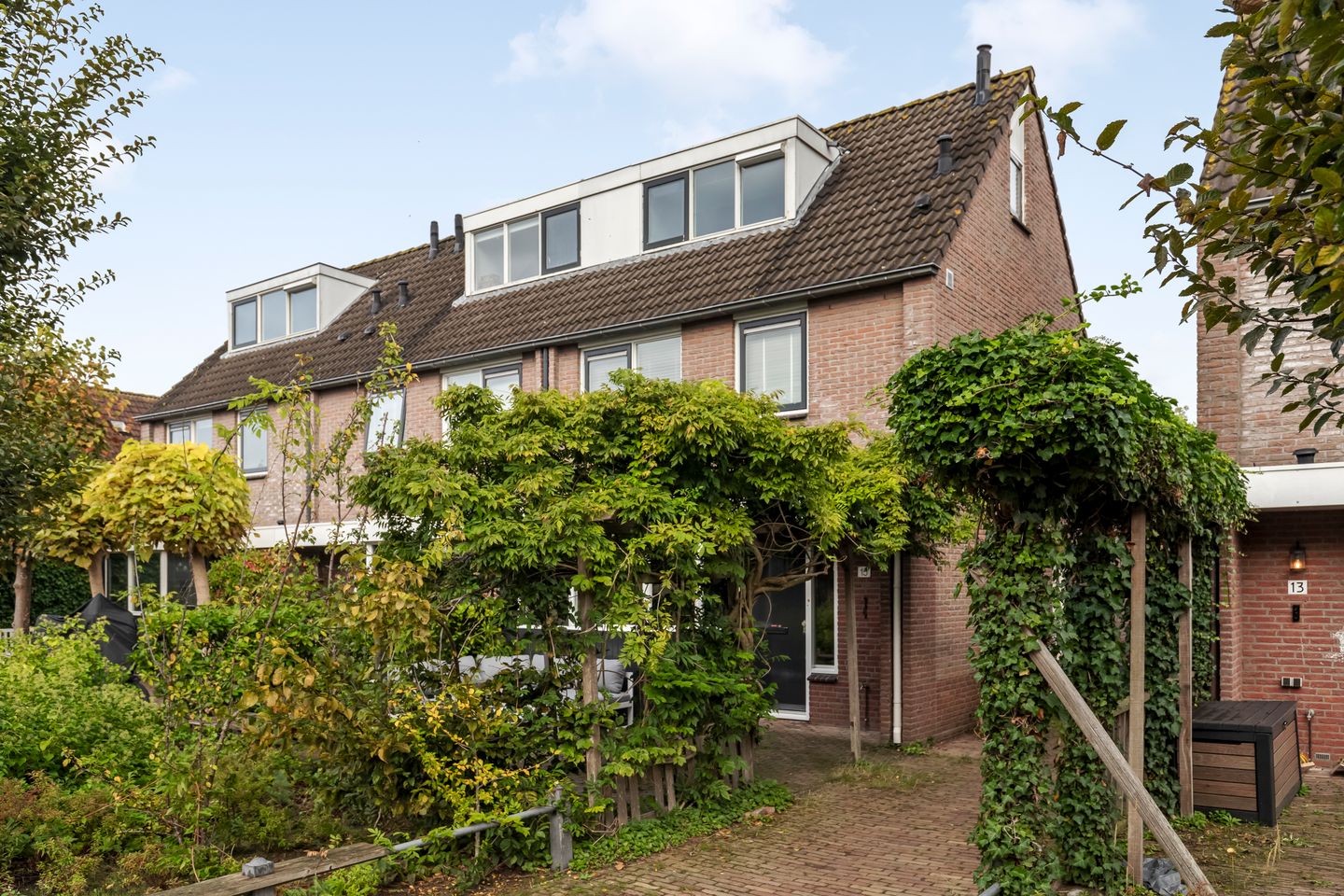 Foto 29 van Aalscholver 15