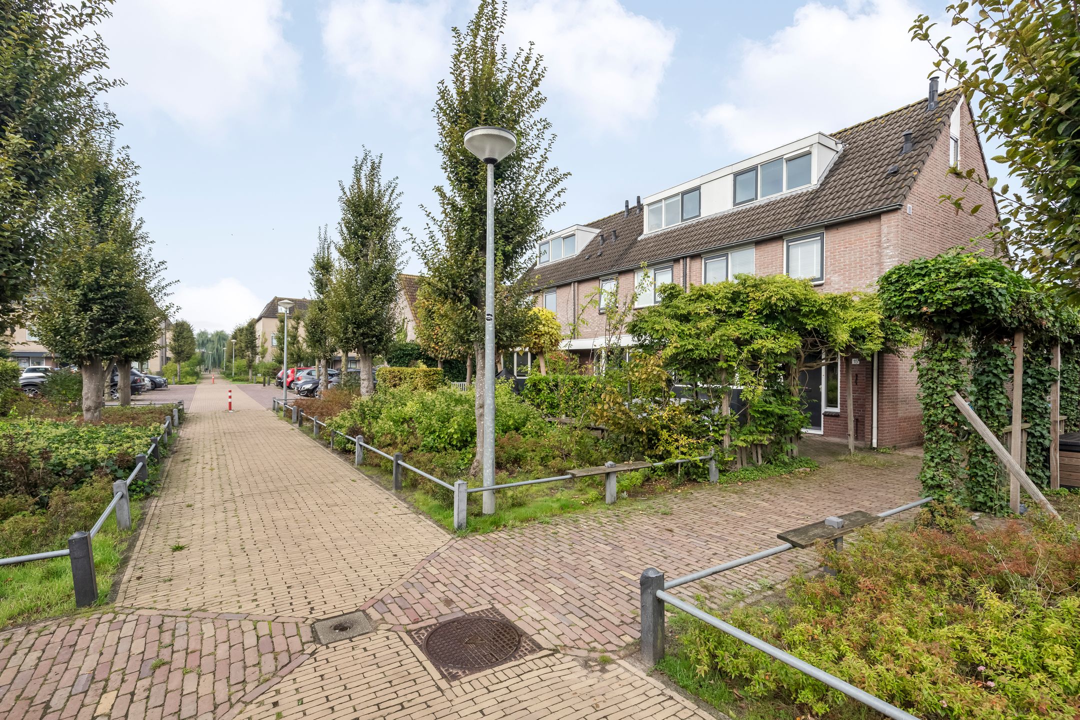 Foto 30 van Aalscholver 15