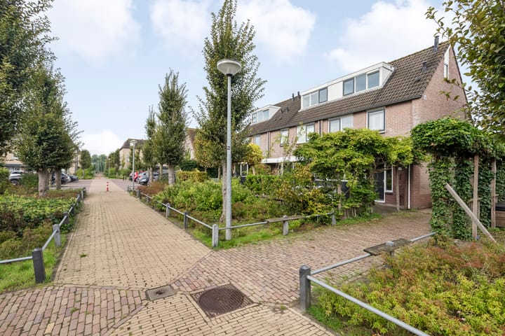 Foto 30 van Aalscholver 15