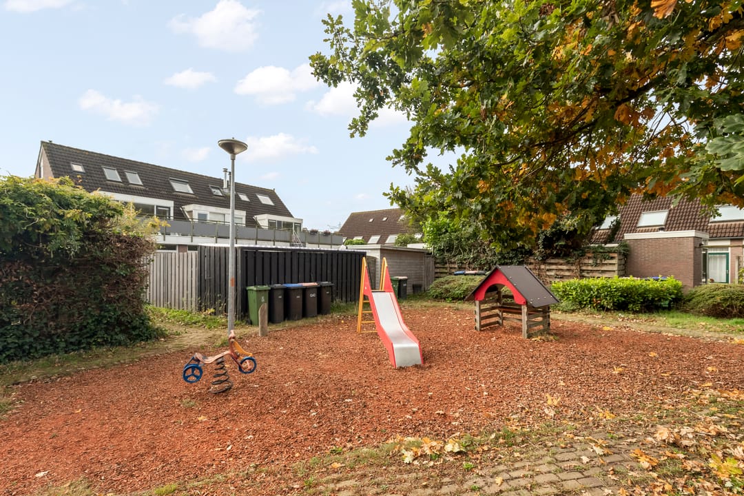 Foto 31 van Aalscholver 15