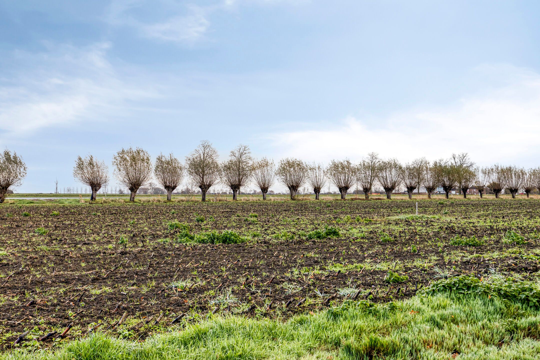 Photo 30 of Hulsterweg 11