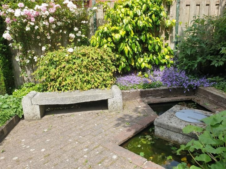 Foto 56 van Bareveld 24