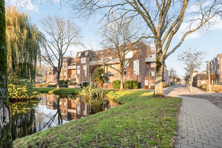 Foto 25 van Goudmos 68