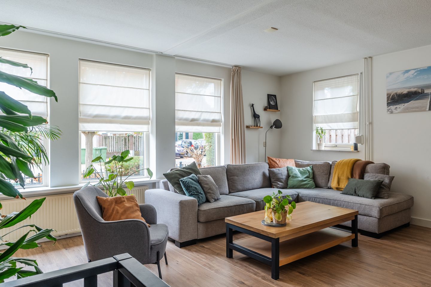 Photo 4 of Varelaar 37