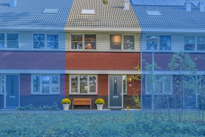 Foto 51 van Vitóriadreef 17