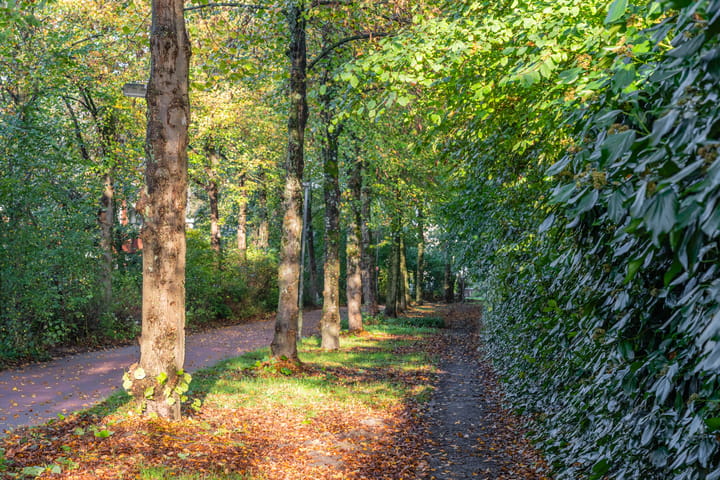 Foto 63 van Vitóriadreef 17