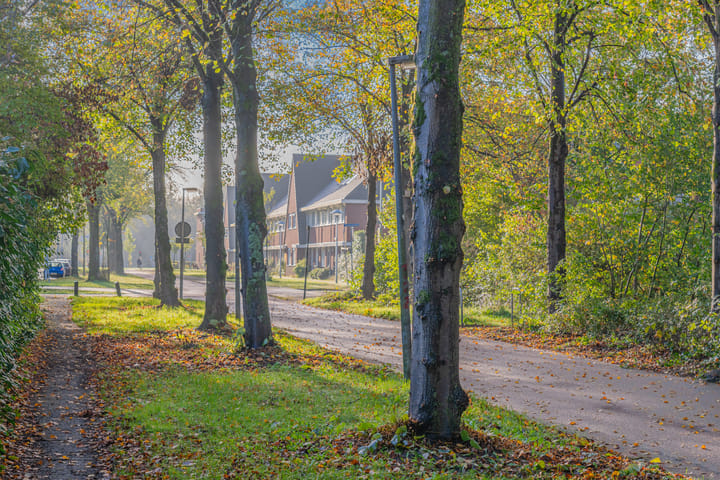 Foto 64 van Vitóriadreef 17