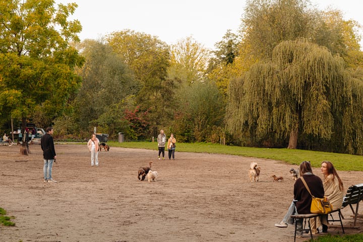 Foto 23 van Tweede Jan Steenstraat 72-1