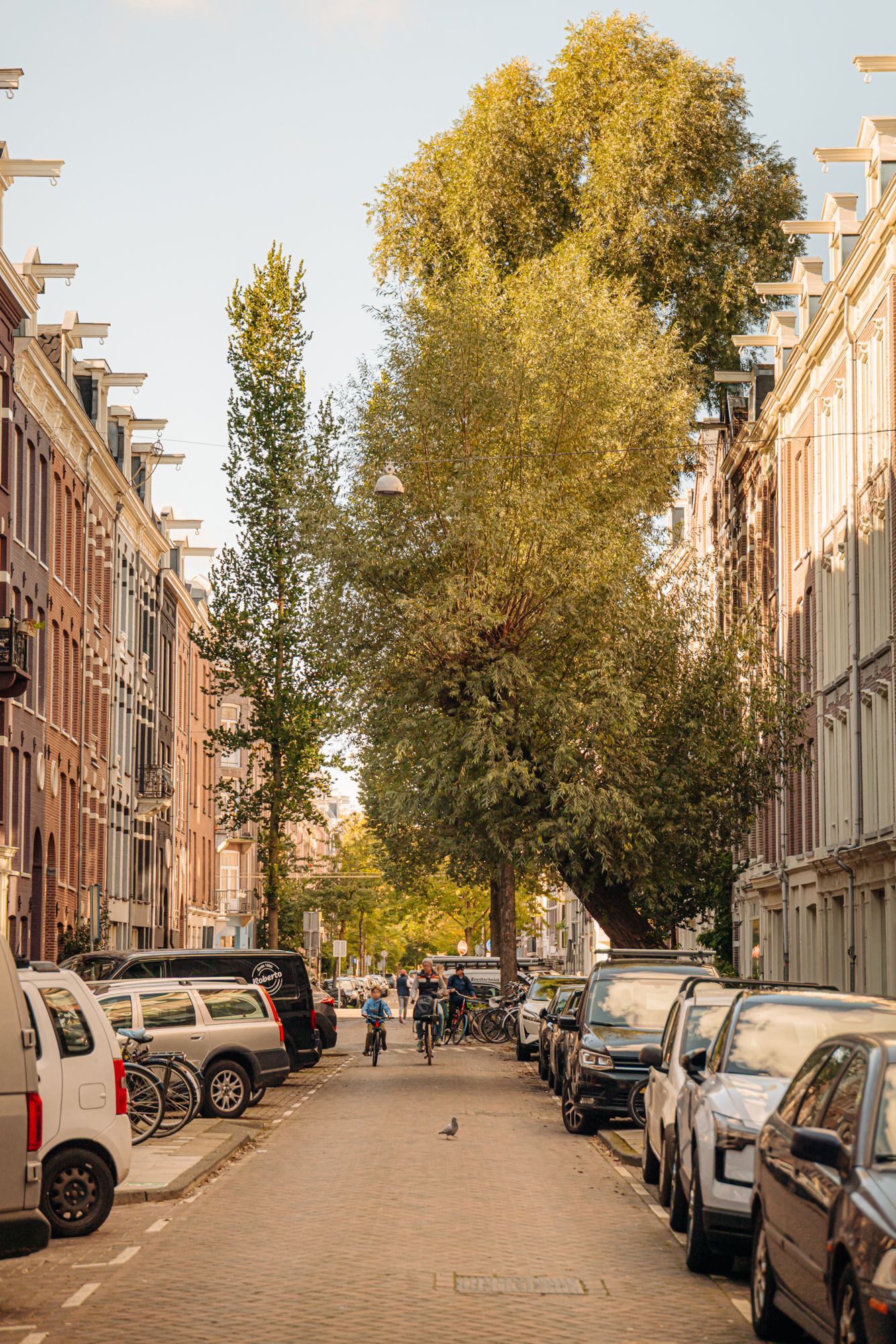 Photo 24 of Tweede Jan Steenstraat 72-1