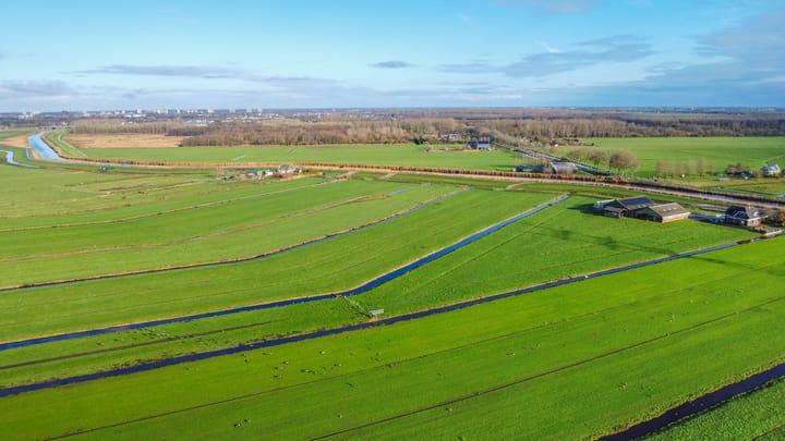 Photo 53 of Watersnip 1