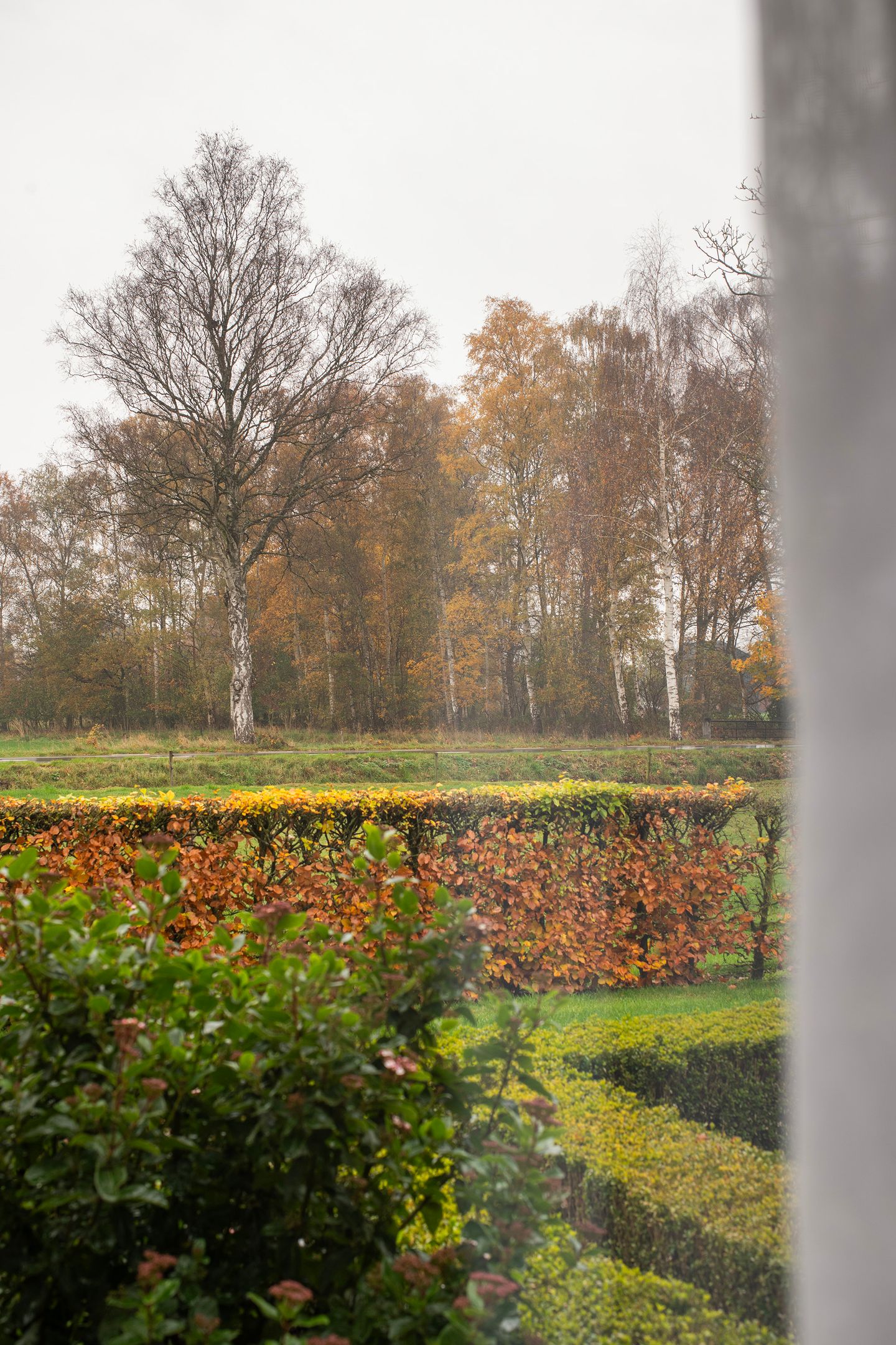 Foto 20 van Hallsedijk 13