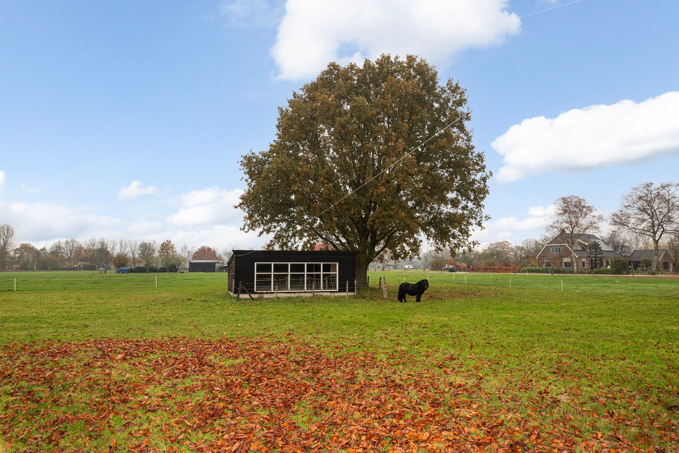 Foto 57 van Hallsedijk 13