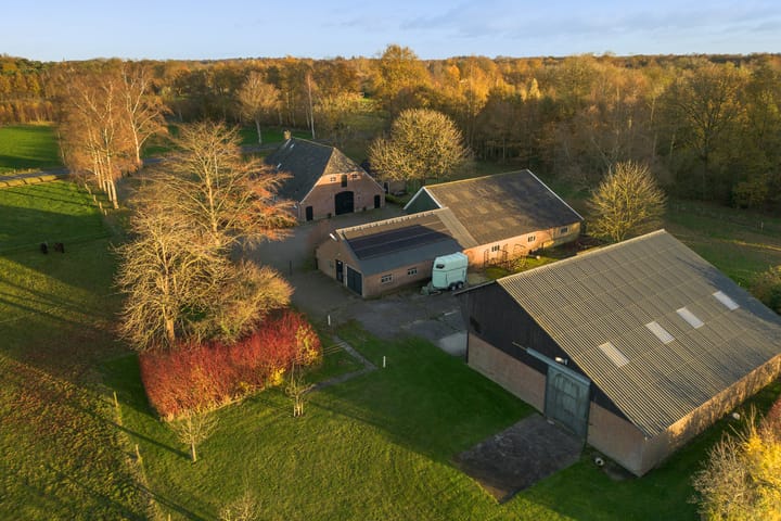 Foto 61 van Hallsedijk 13