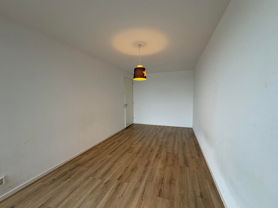 Photo 8 of Emmy Andriessestraat 540