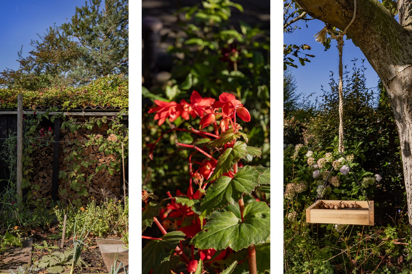 Photo 34 of Drechterlandsedijk 57