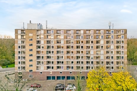 Trekvogelweg thumbnail