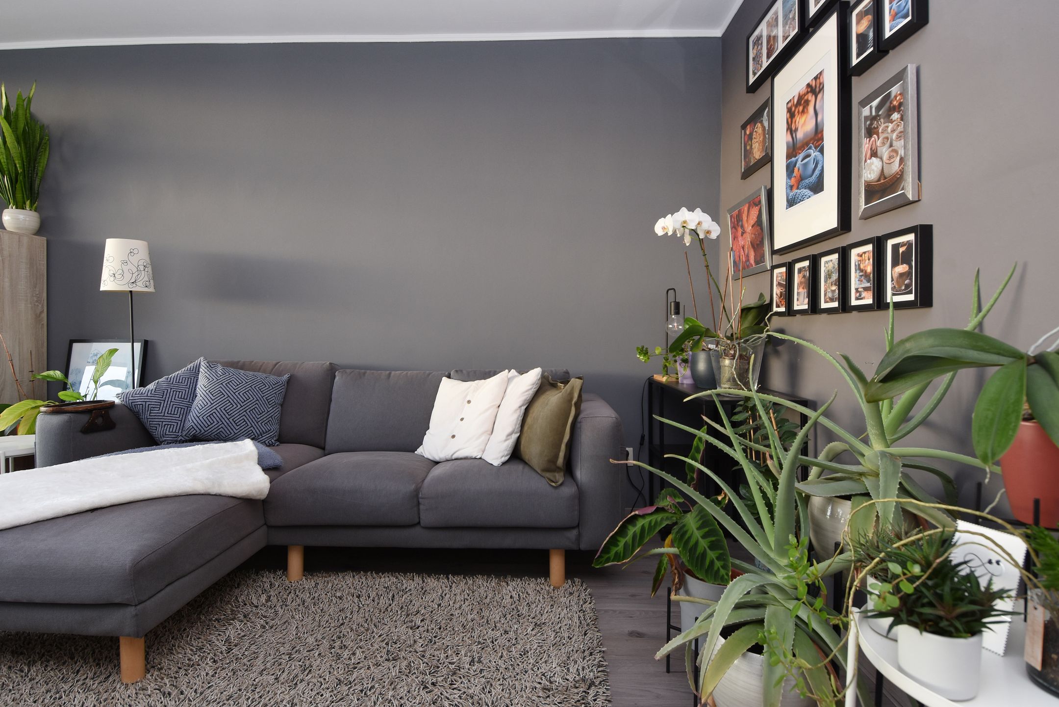 Foto 9 van Forellendaal 224