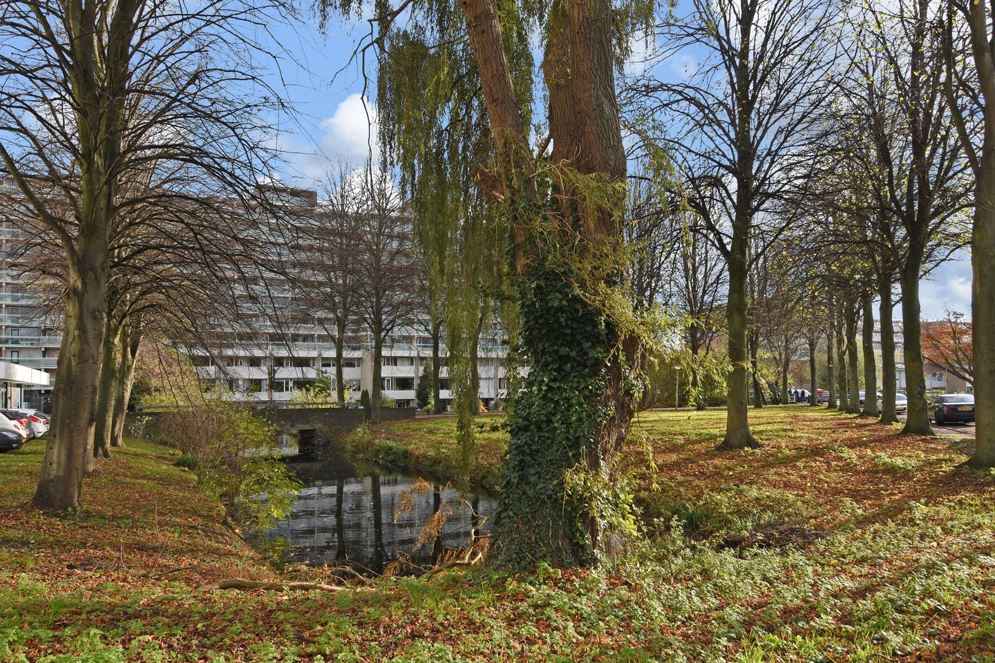 Foto 34 van Forellendaal 224