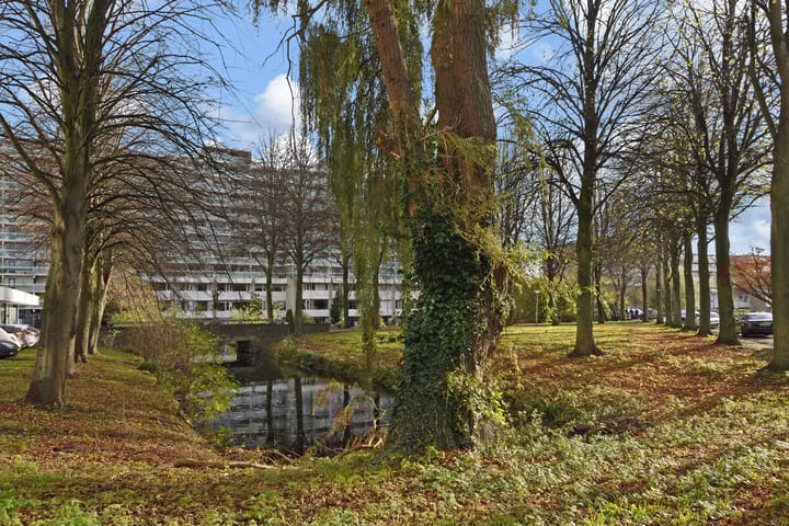 Foto 34 van Forellendaal 224