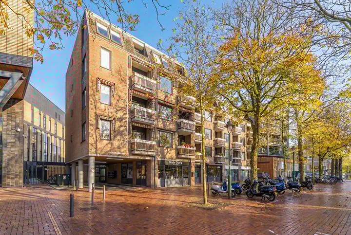 Foto 24 van Groest 73-43