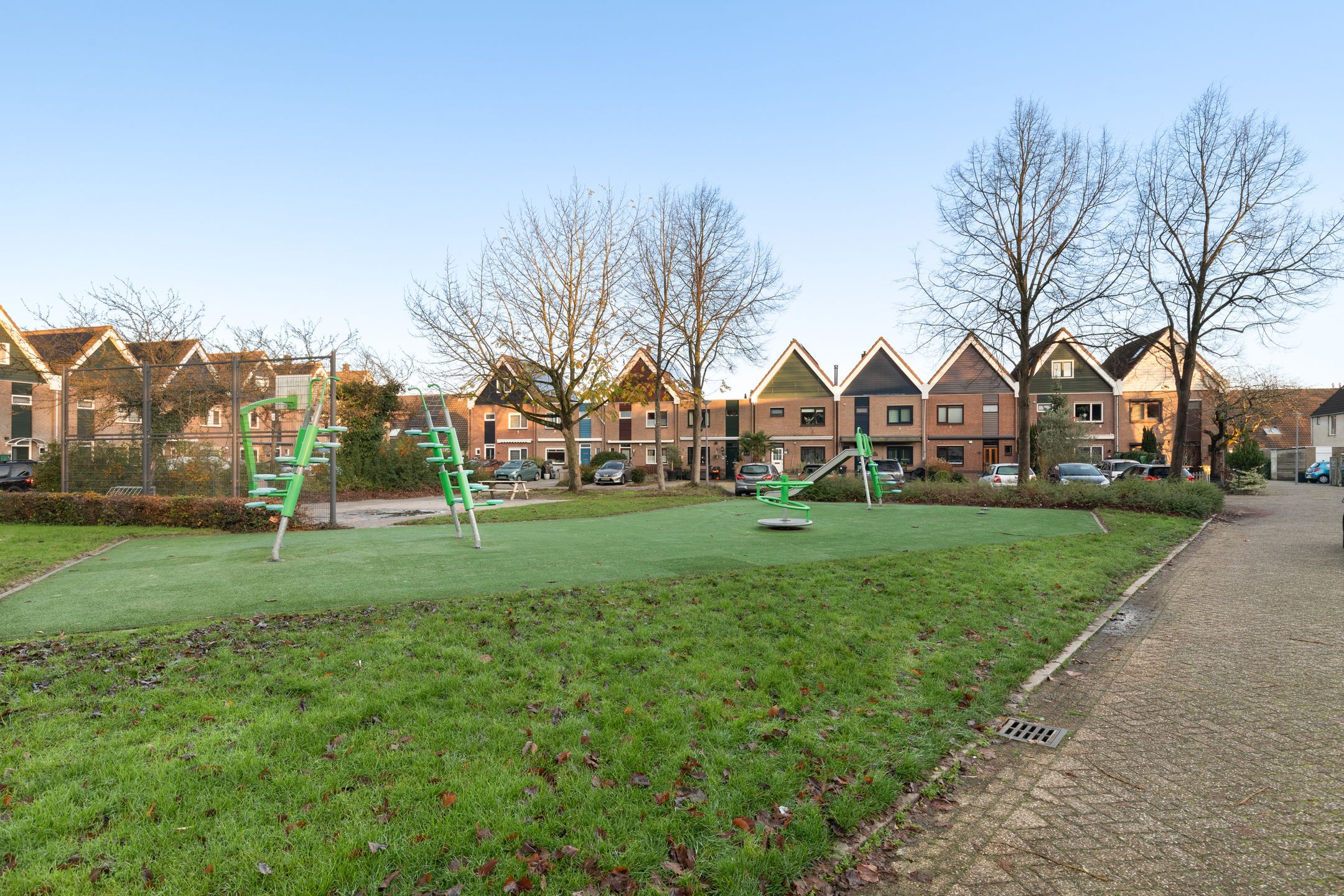 Foto 51 van Zilverschoon 55