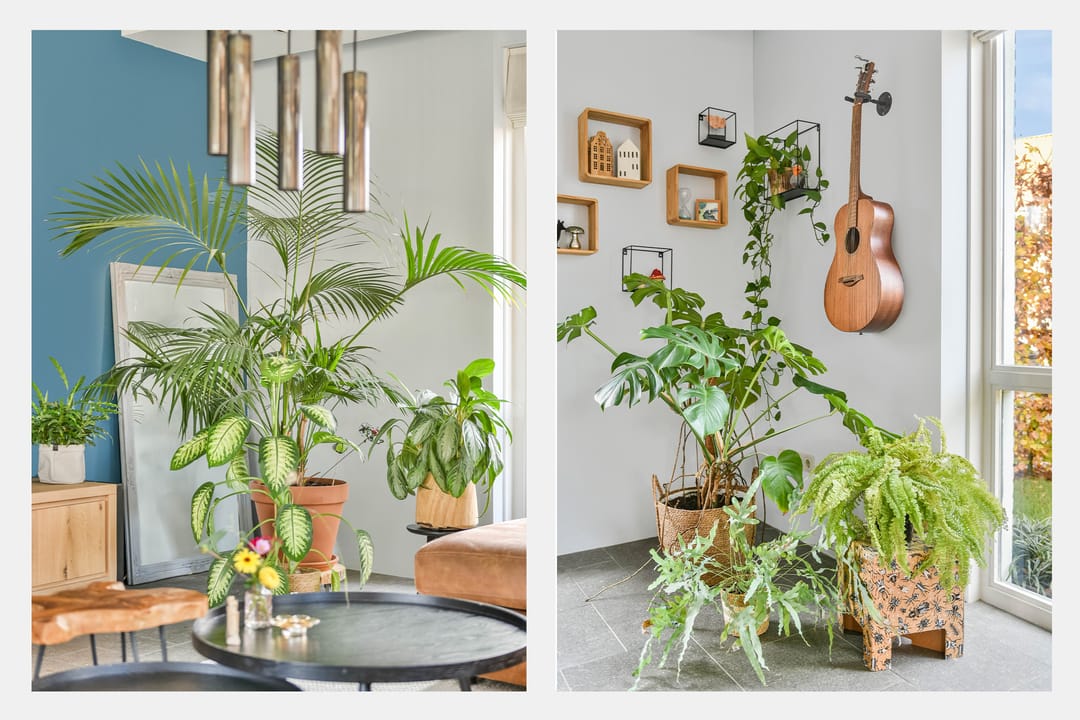 Foto 7 van Schilberg 1