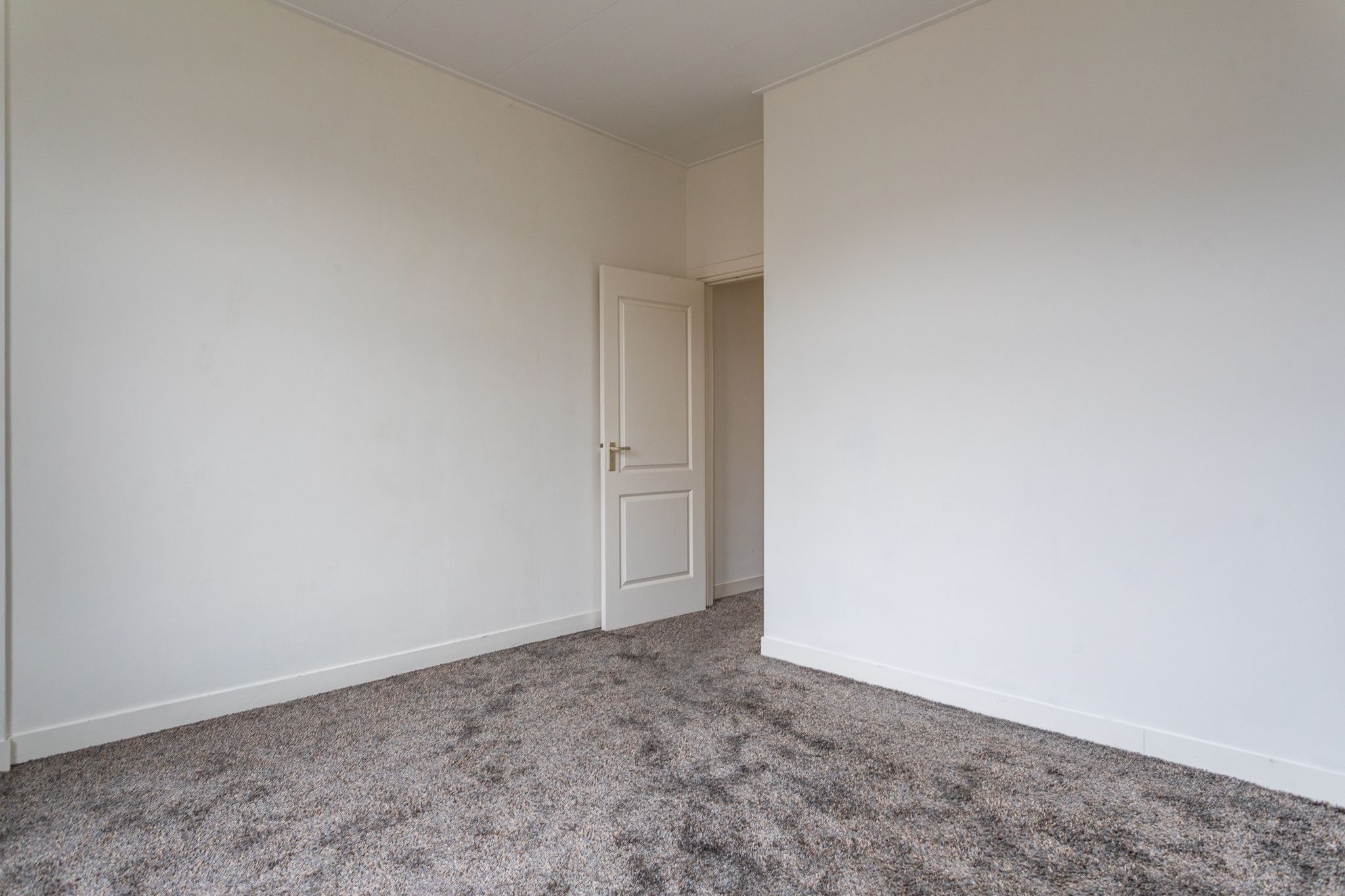 Foto 15 van Pijnboomstraat 115