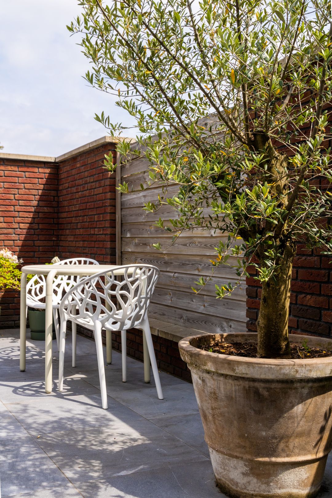 Foto 41 van Stellenboschlaan 53