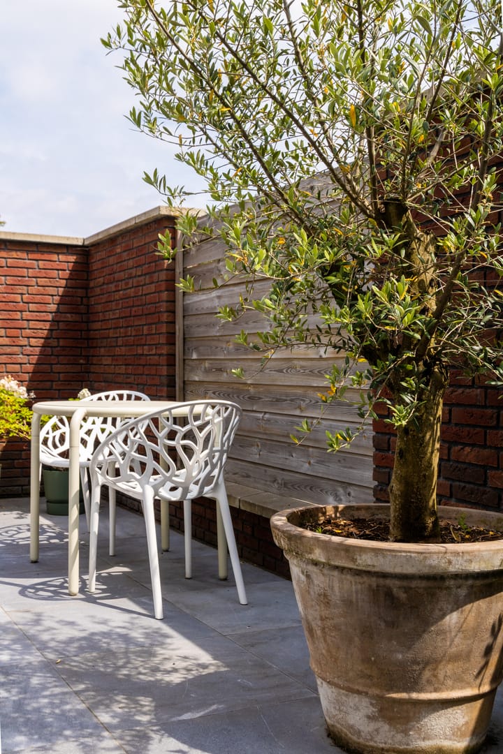 Photo 41 of Stellenboschlaan 53