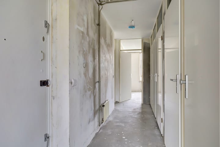 Foto 11 van Bernard Shawsingel 260