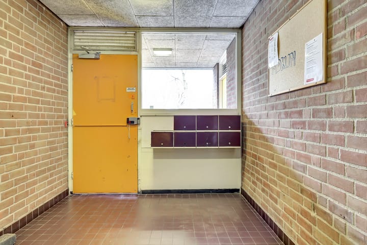 Foto 34 van Bernard Shawsingel 260