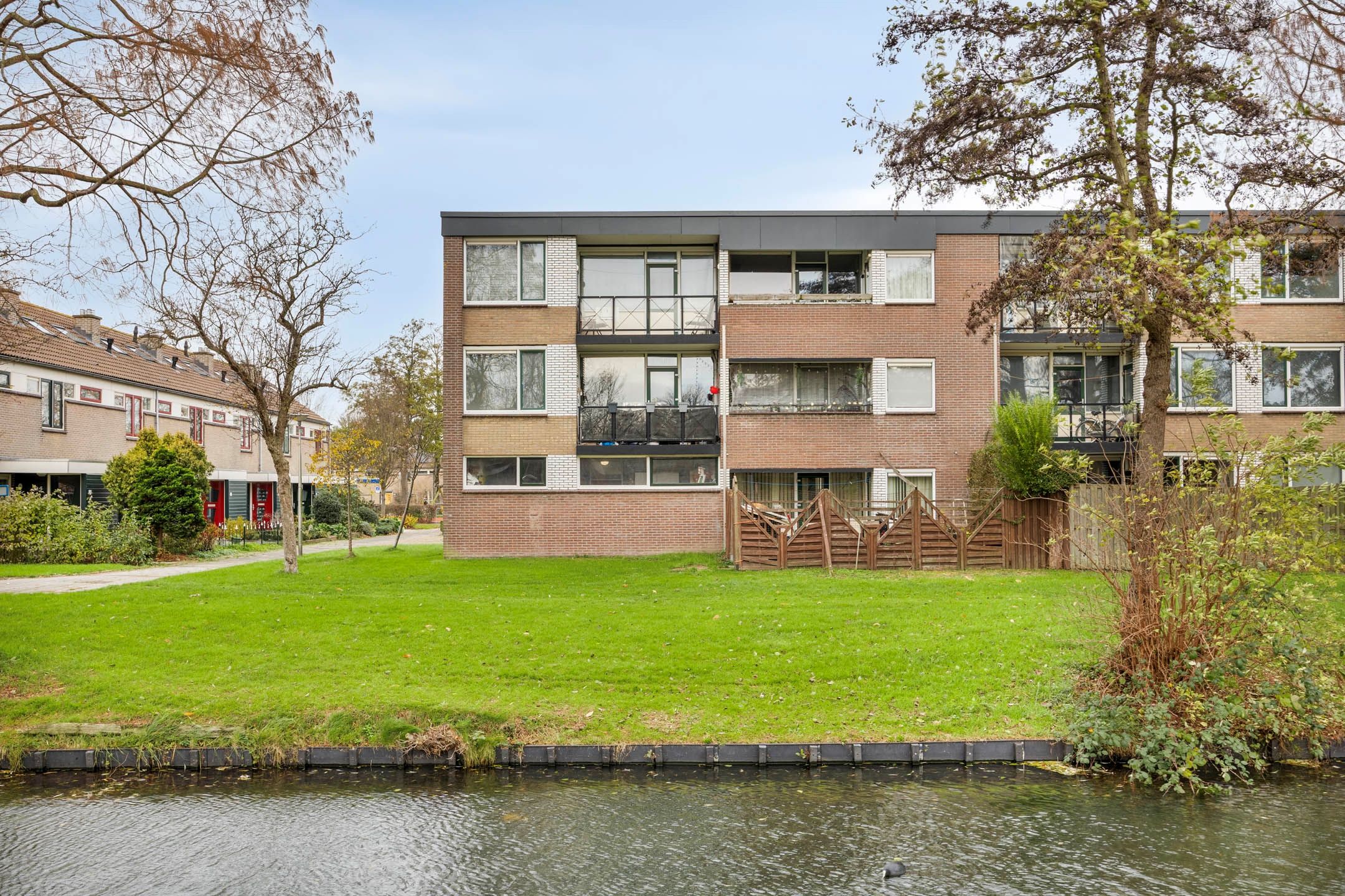 Foto 6 van Scholeksterstraat 38