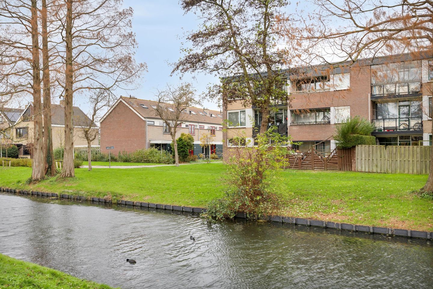 Foto 20 van Scholeksterstraat 38