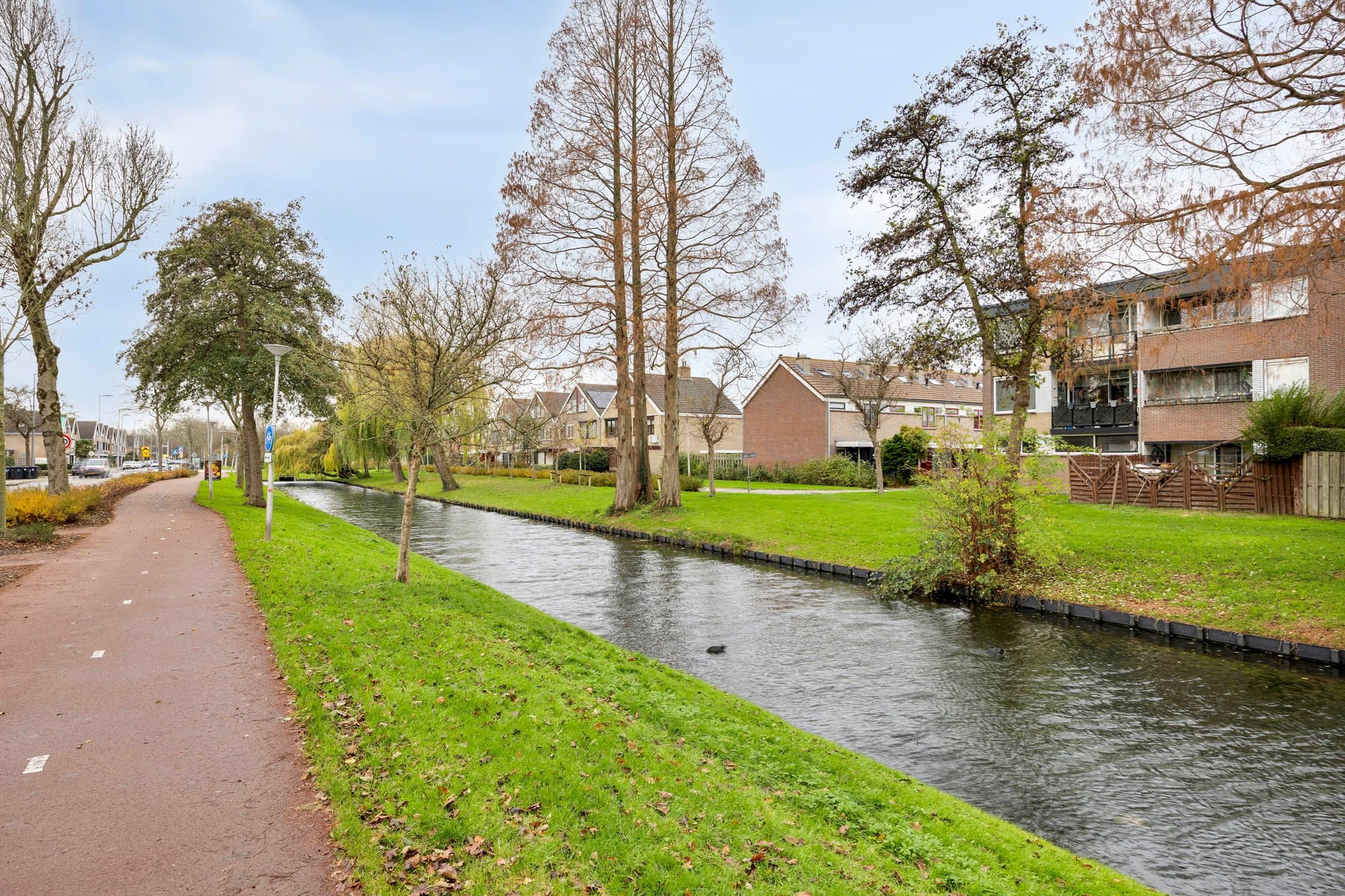 Foto 21 van Scholeksterstraat 38