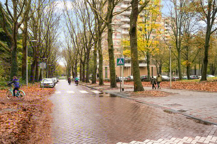 Foto 28 van Nachtwachtlaan 115