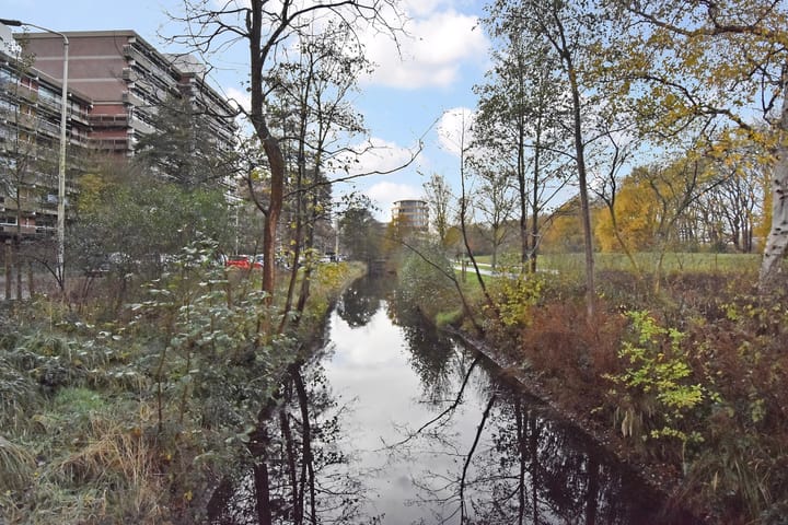 Foto 31 van Cees Laseurlaan 1131