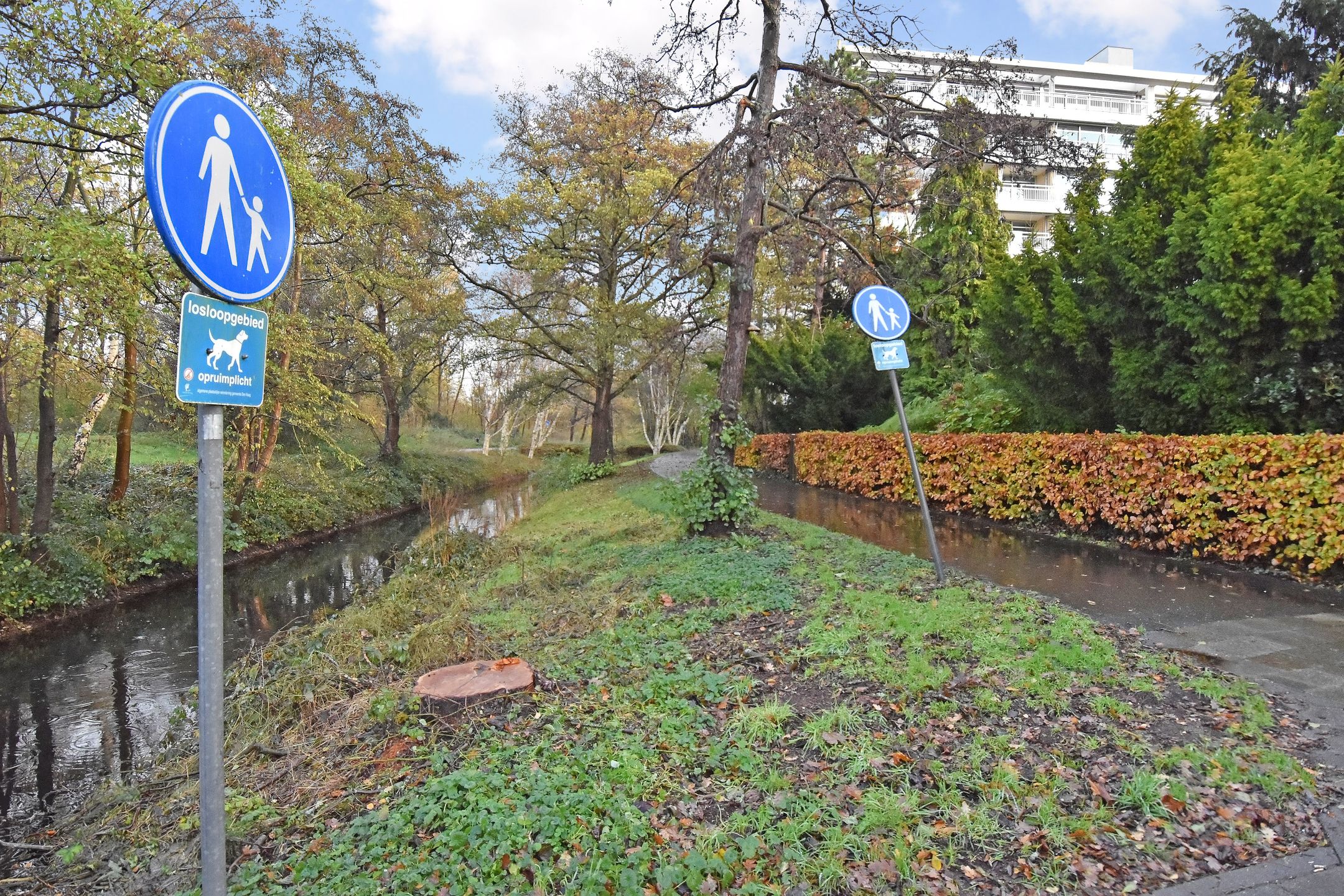 Foto 36 van Cees Laseurlaan 1131