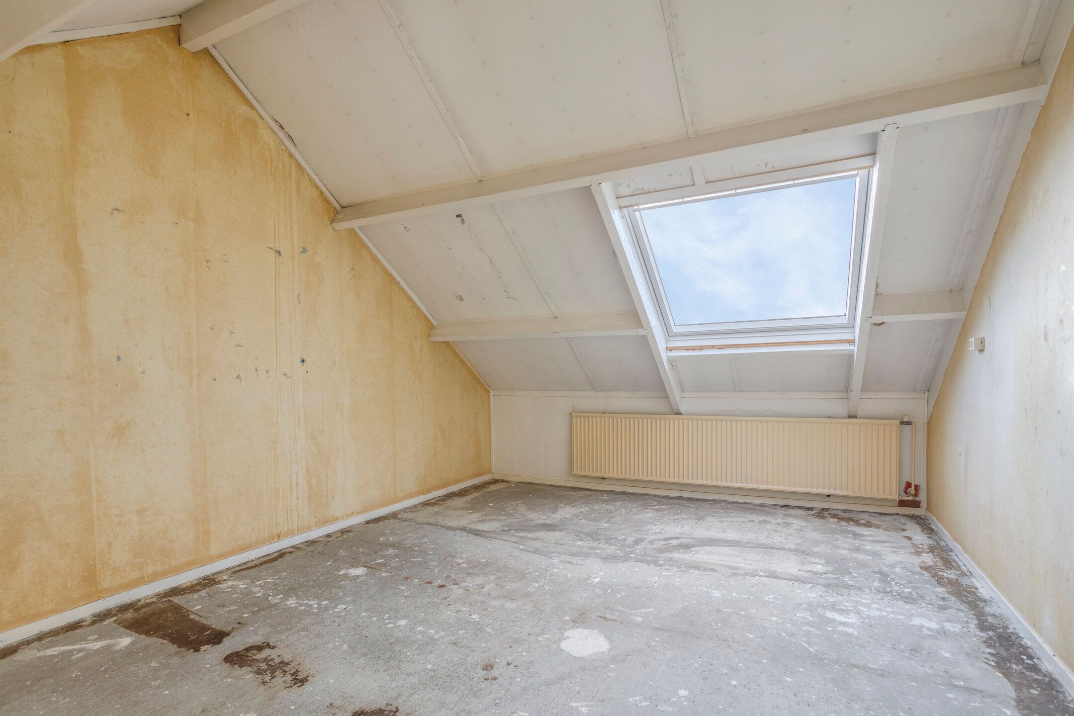 Foto 33 van Schierstins 52