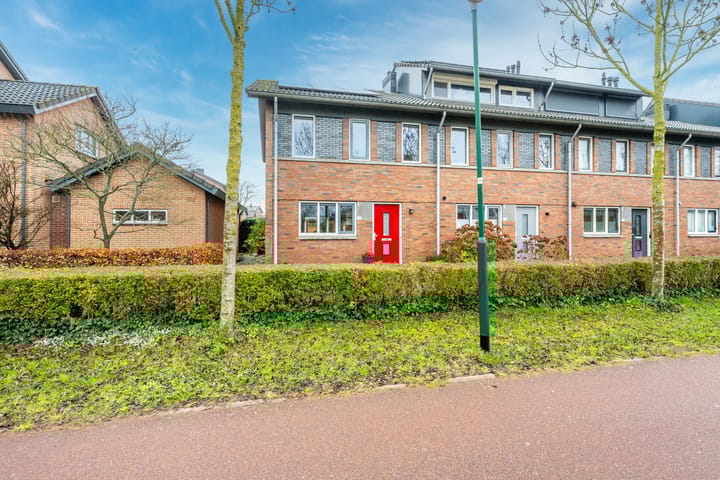 Foto 2 van Beukenhout 72