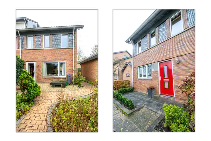 Foto 3 van Beukenhout 72