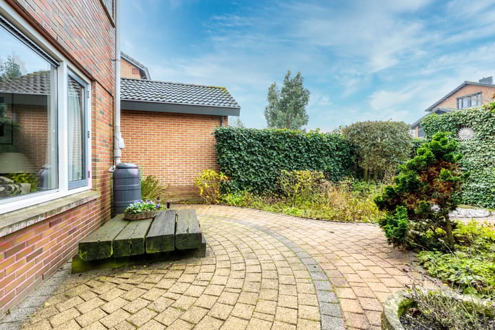 Foto 15 van Beukenhout 72